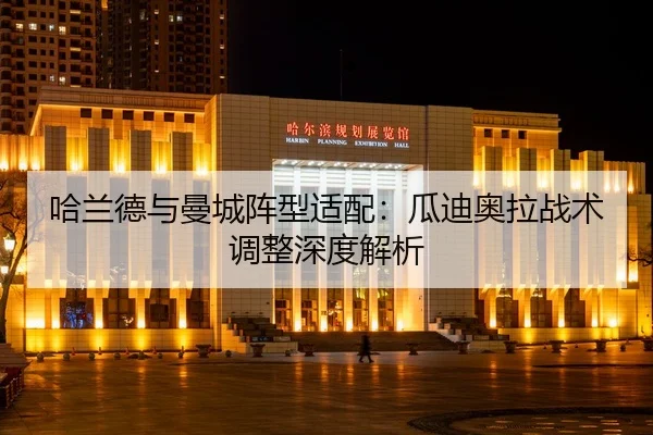 ha-lan-de-yu-man-cheng-zhen-xing-shi-pei-gua-di-ao-la-zhan-shu-tiao-zheng-shen-du-jie-xi-2-546.jpg