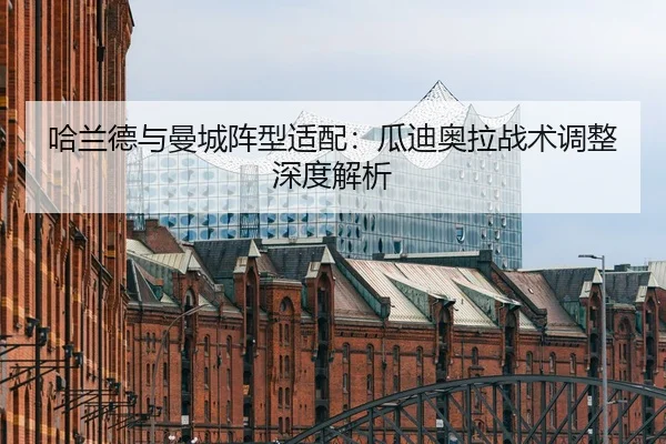 ha-lan-de-yu-man-cheng-zhen-xing-shi-pei-gua-di-ao-la-zhan-shu-tiao-zheng-shen-du-jie-xi-3-467.jpg
