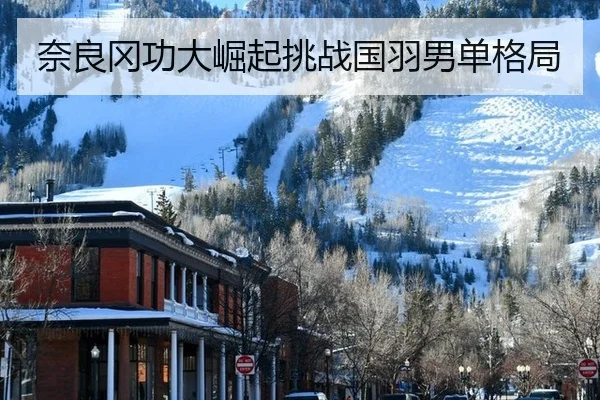 奈良冈功大崛起挑战国羽男单格局