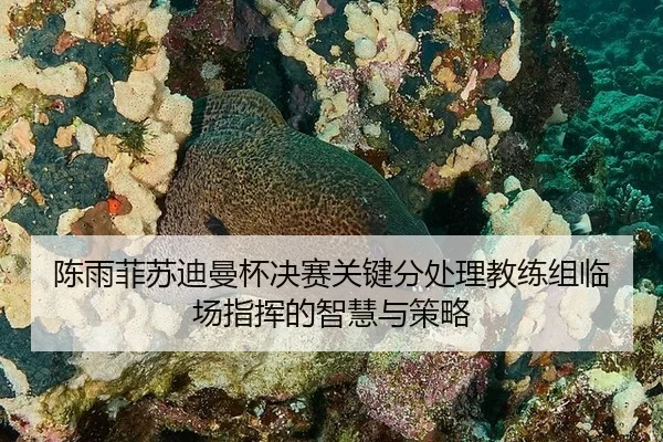 chen-yu-fei-su-di-man-bei-jue-sai-guan-jian-fen-chu-li-jiao-lian-zu-lin-chang-zhi-hui-de-zhi-hui-yu-ce-lve-2-989.jpg