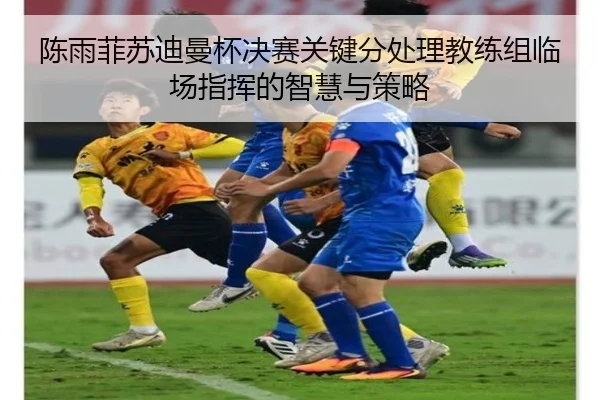 陈雨菲苏迪曼杯决赛关键分处理教练组临场指挥的智慧与策略