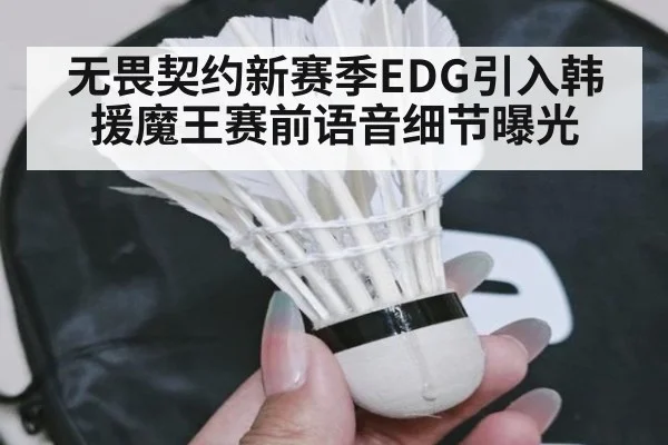 无畏契约新赛季EDG引入韩援魔王赛前语音细节曝光